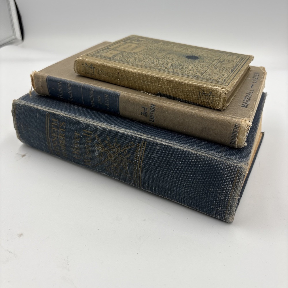 Vintage 3 Blue Brown Books Lot Staging Decor Retro Prop Shelf Mantle Centerpiece - Picture 2 of 8